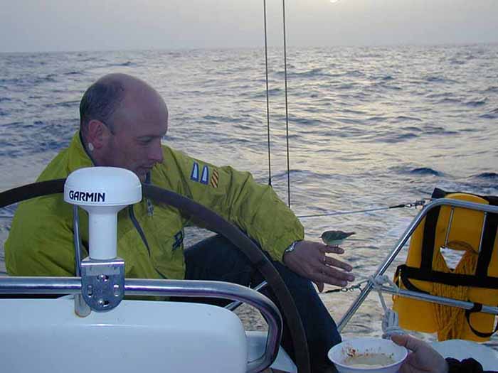 haku28